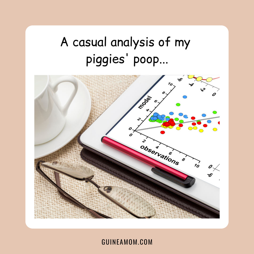 Do Guinea Pigs Need Pellets? Guinea Mom