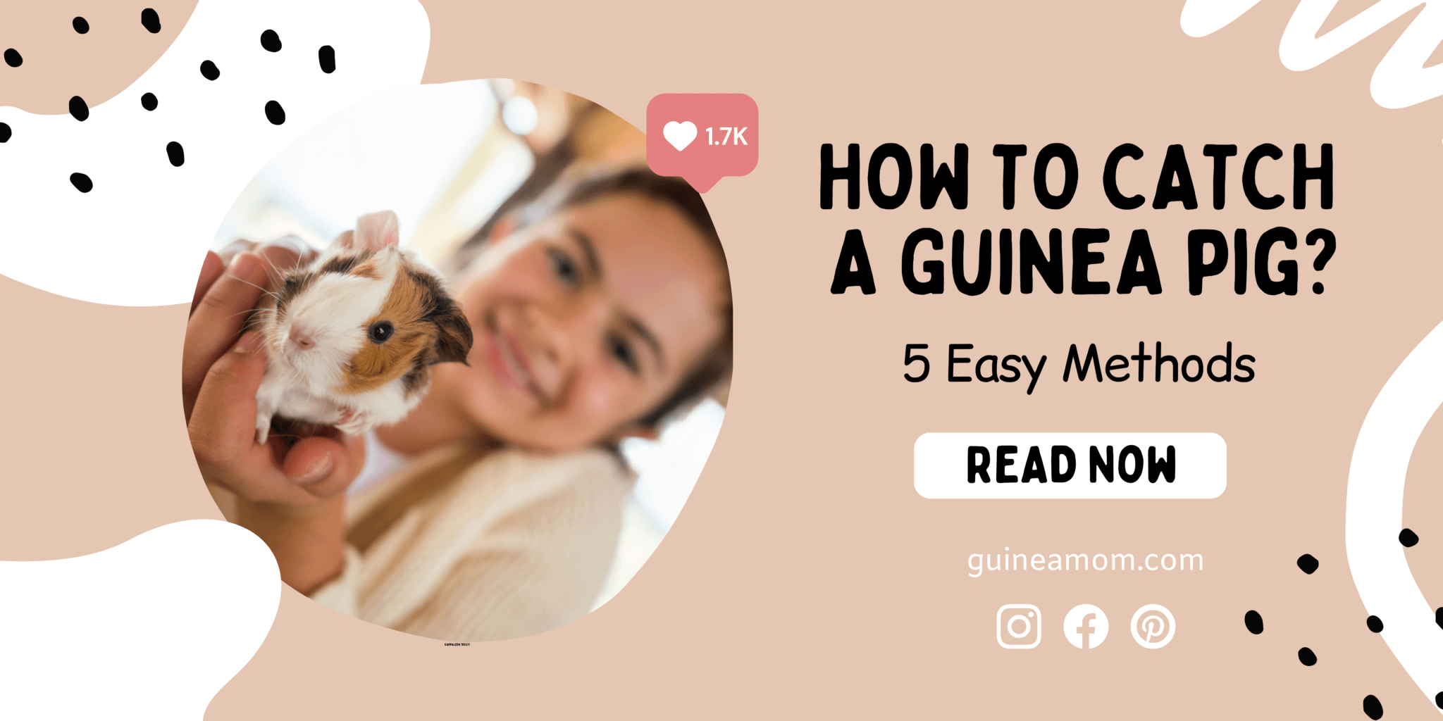 How To Catch A Guinea Pig? 5 Easy Methods Guinea Mom