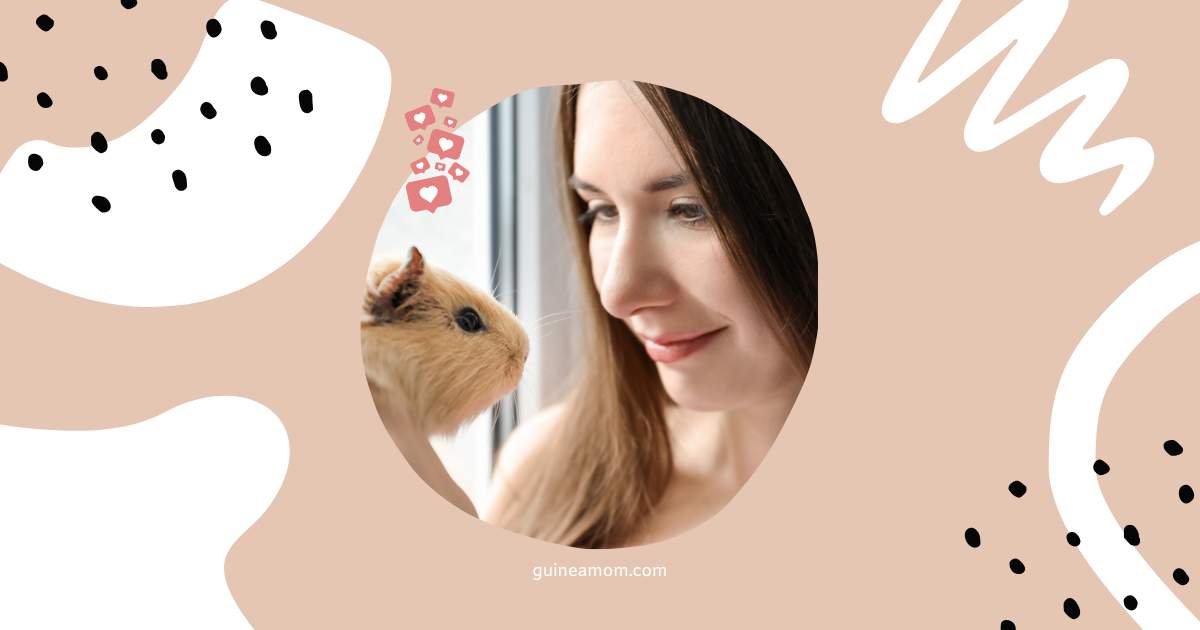 Guinea Pig Interaction Tips For New Owners