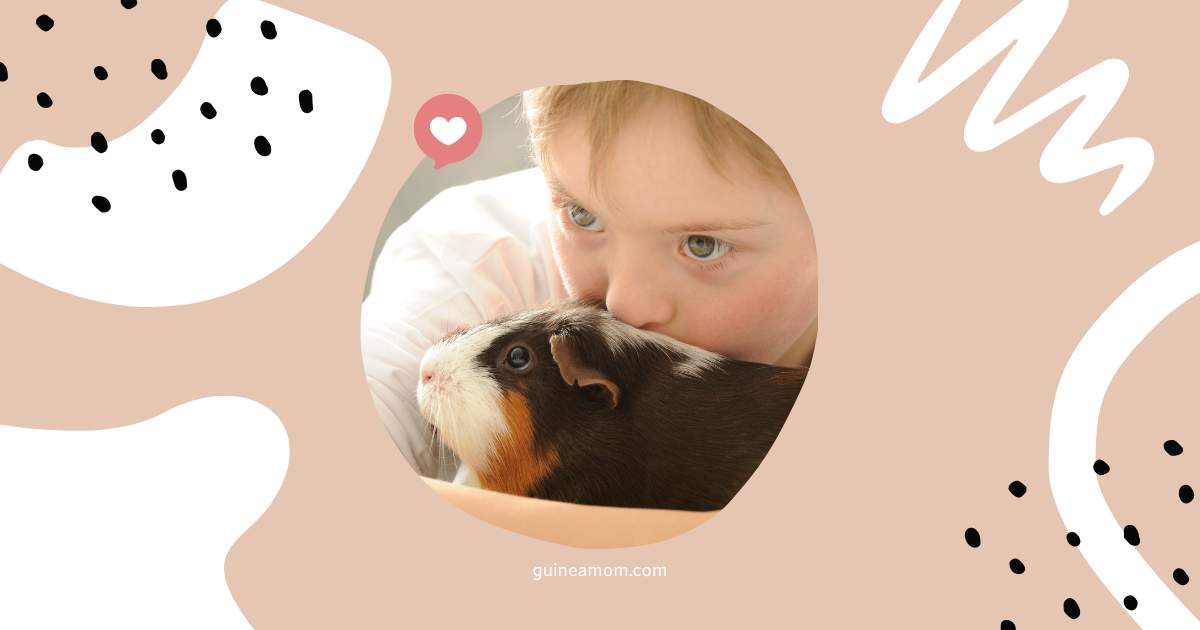 Guinea Pigs And Children