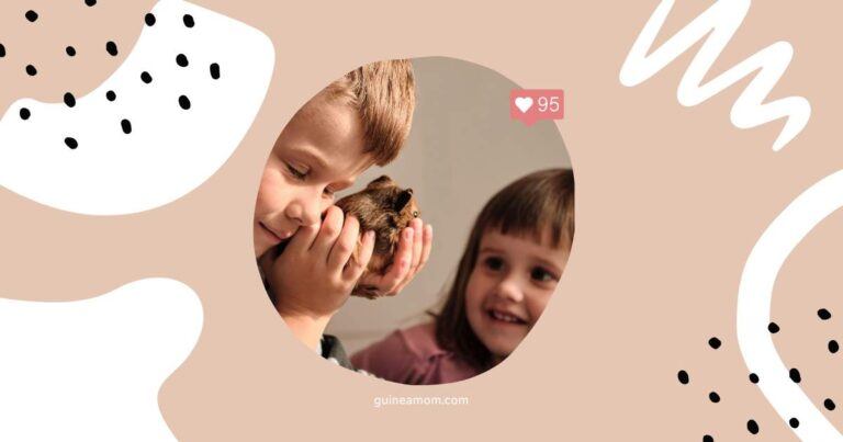 Guinea Pigs For Kids: Are They A Good Pet?