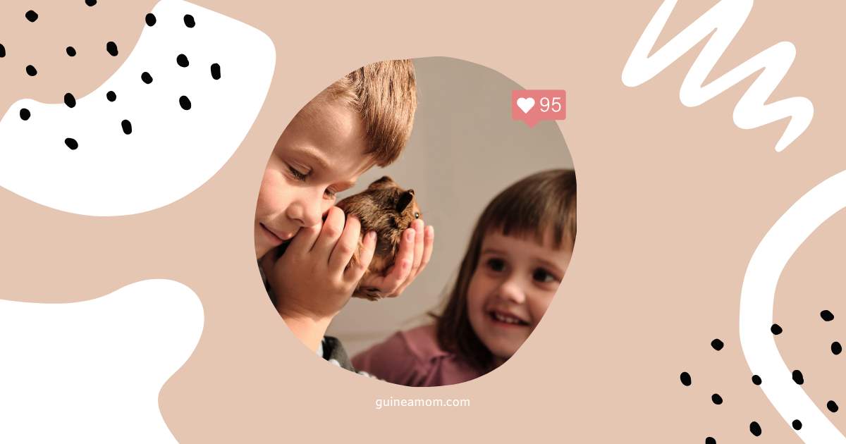 Guinea Pigs For Kids: Are They A Good Pet?