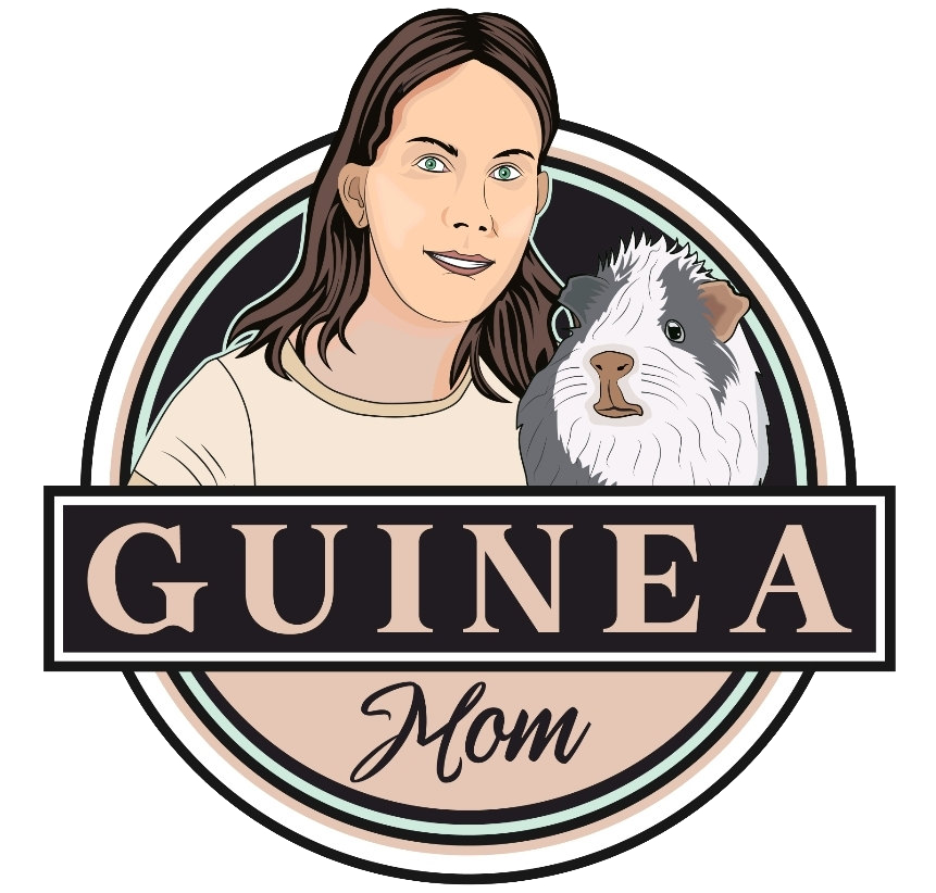 My Guinea Pig Care and Health Site
