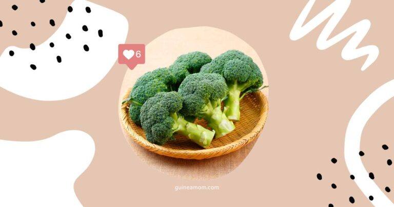Can Guinea Pigs Eat Broccoli?