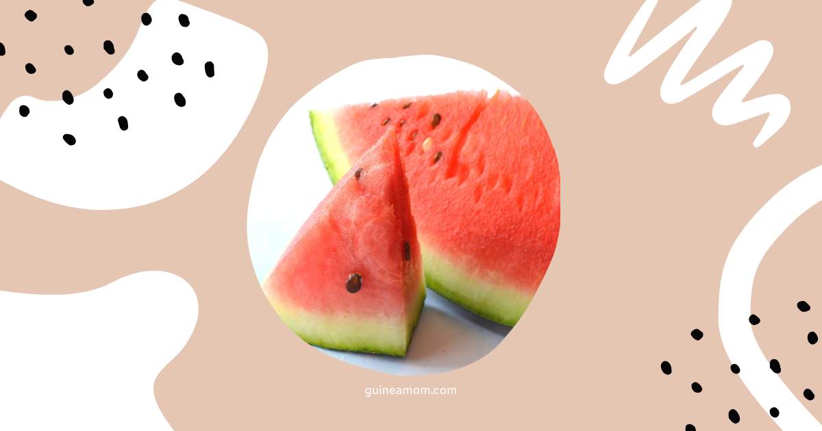 Can Guinea Pigs Eat Watermelon