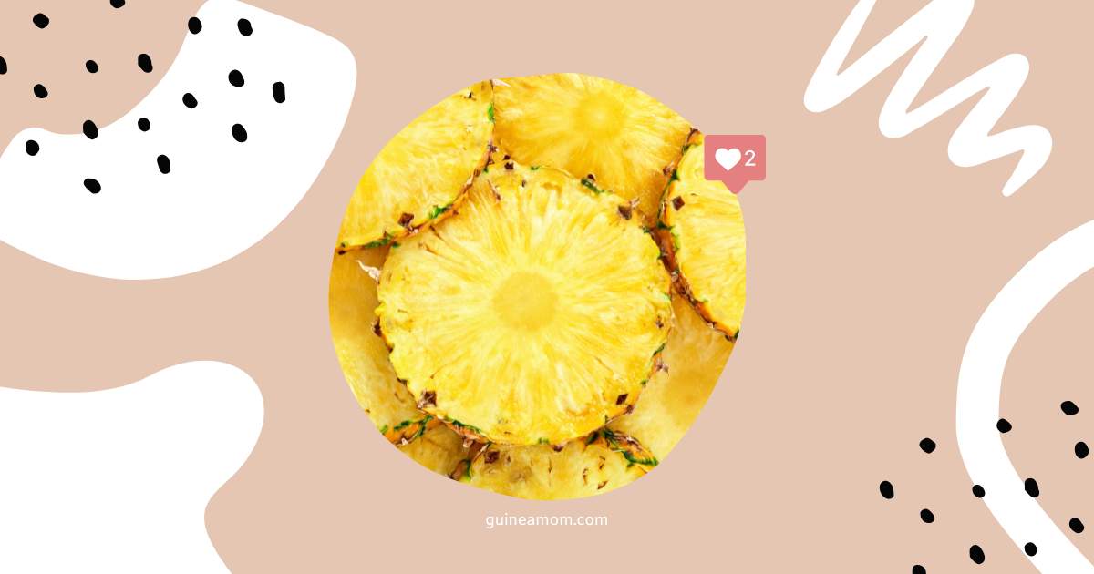 Can Guinea Pigs Eat Pineapple?